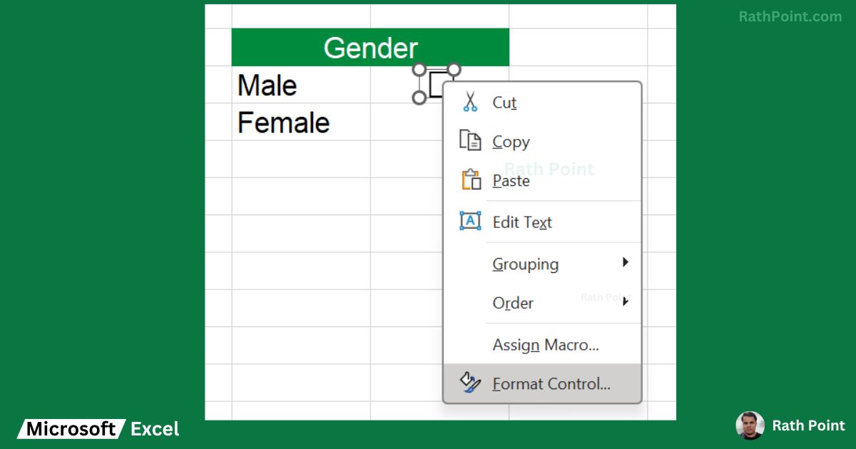 How to Insert Checkbox in Excel (Step 3)