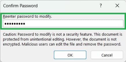 Reenter Password to Modified in Excel - Rath Point