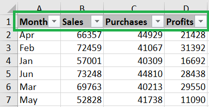 Filter Data in Excel - Rath Point