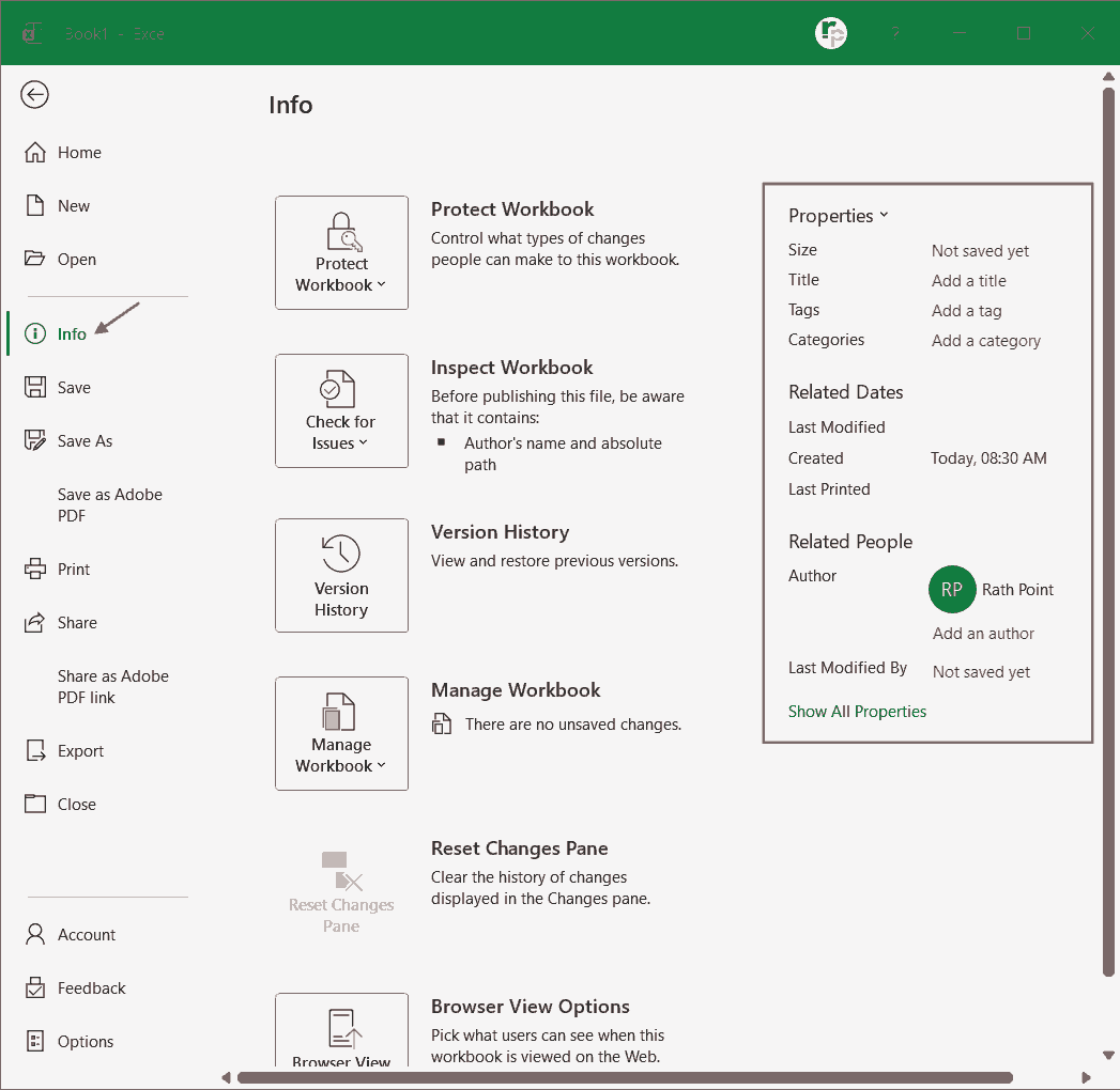 Excel File Information and Properties