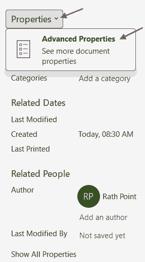 Excel File Properties